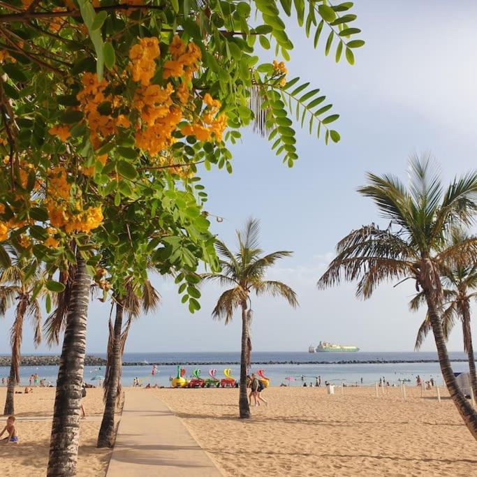 San Andres Beach View Apartment Экстерьер фото